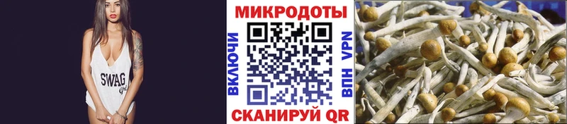 Псилоцибиновые грибы мицелий  наркотики  Козельск 